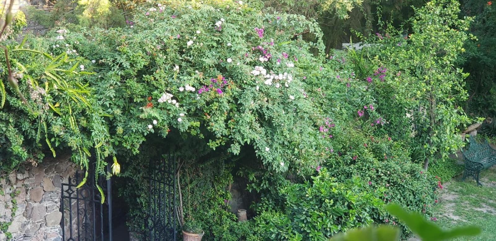 Tres Fuentes Hotel Boutique San Miguel de Allende Buitenkant foto